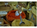 Spice extraction foundry services